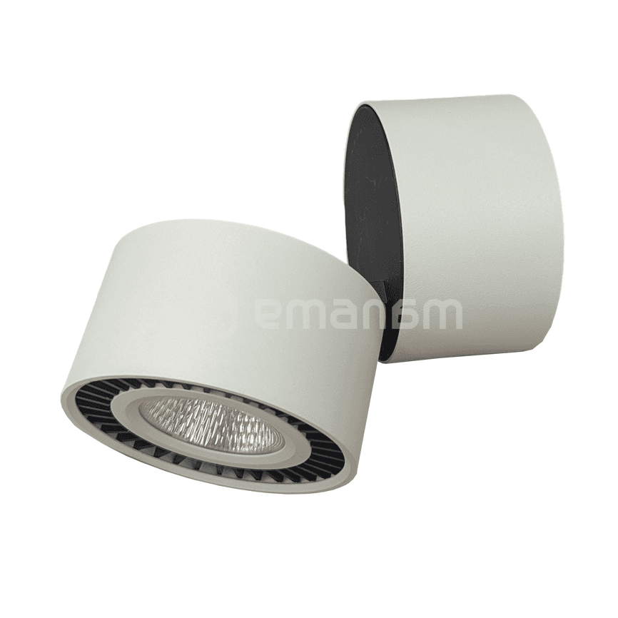 დაუნლაითი MIRAS LS-S169 10W WH