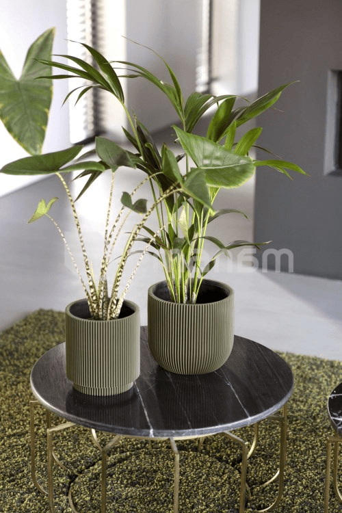 ქოთანი ყვავილის Capi Europe Vase cylinder Groove 19x21სმ მწვანე
