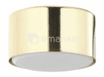 დაუნლაითი TK Lighting DALLAS ოქროსფერი 6096 TK-L