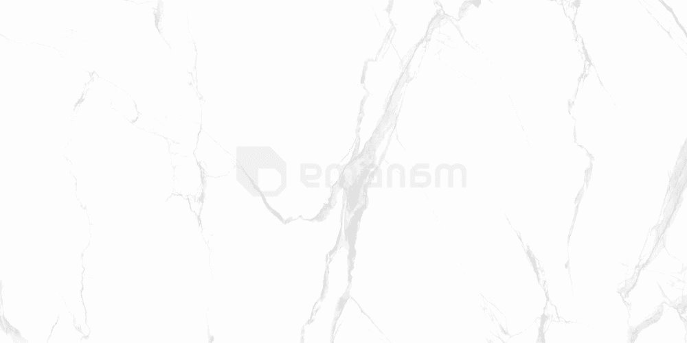 კერამოგრანიტი Anka Seramik CLASSIC CARRARA 60X120სმ
