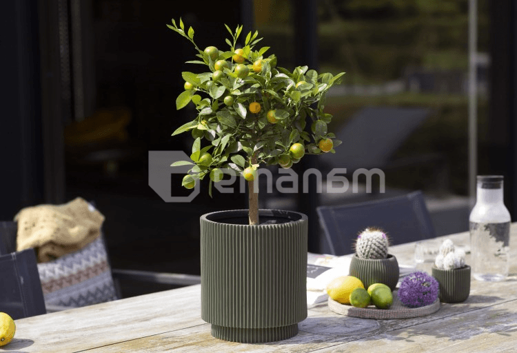 ქოთანი ყვავილის Capi Europe Vase cylinder Groove 19x21სმ მწვანე