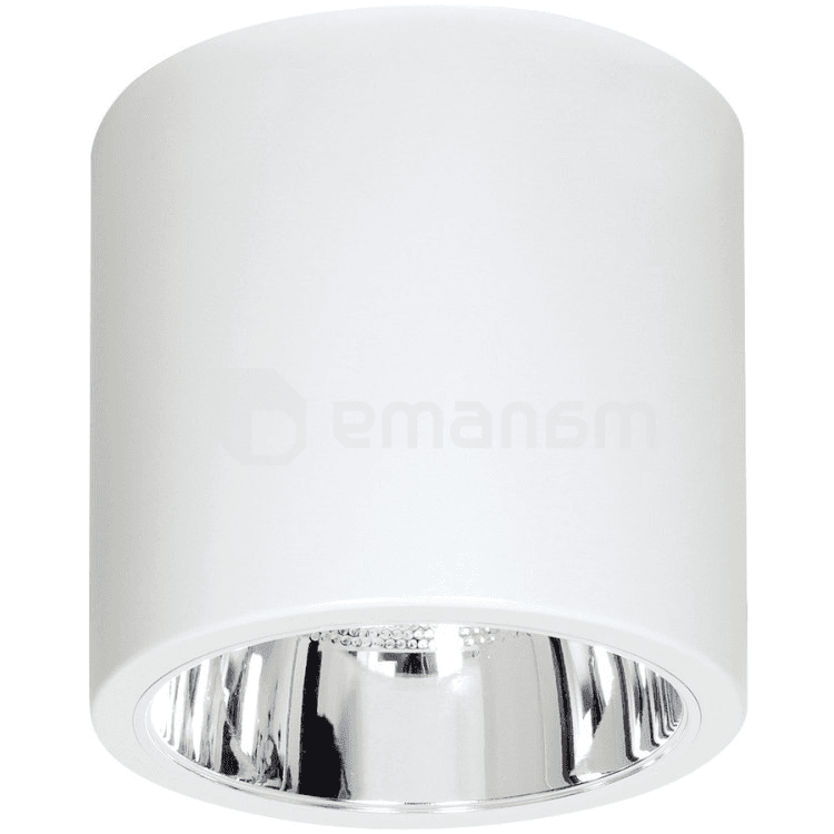 სანათი წერტილოვანი Luminex Downlight round 7242 D22.9 1xE27 60W თეთრი