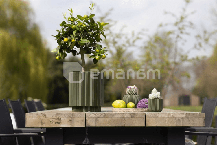 ქოთანი ყვავილის Capi Europe Vase cylinder Groove 19x21სმ მწვანე