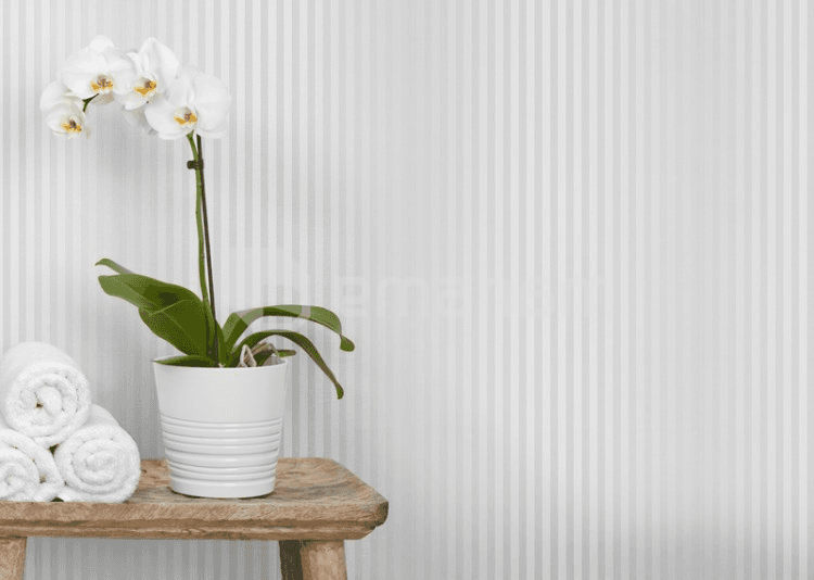 პანელი PVC VOX Profile Vilo D Silver Lines 25х265 сm