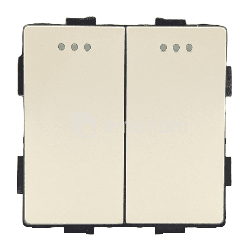 ჩამრთველი Socket Style 2 მექანიკური ორიანი 2G-2W თეთრი