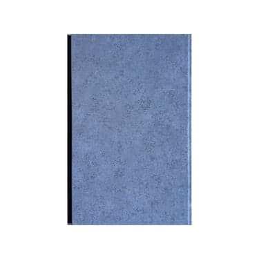 EuroPlast შეკიდული ჭერი 250*3000*7mm JT 84076-1