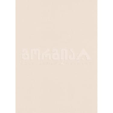 შპალერი ვინილ-ფლიზელინის 5828-02 0,53x10,05 Erismann