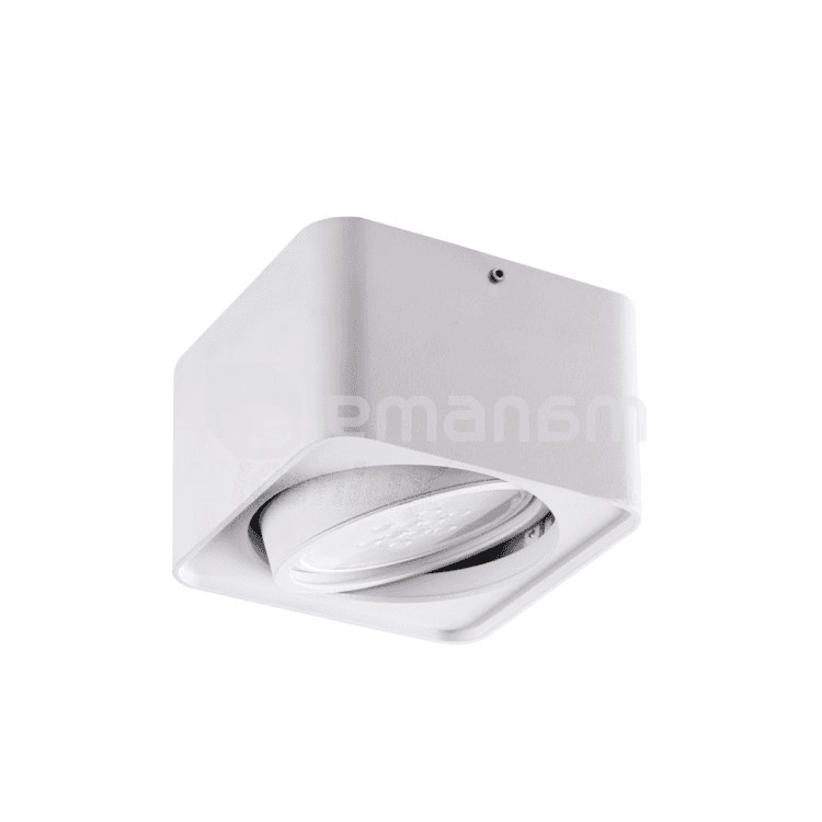 სანათი წერტილოვანი მბრუნავი Kanlux TUBEO ES 50-W GU10 1x MAX 25W