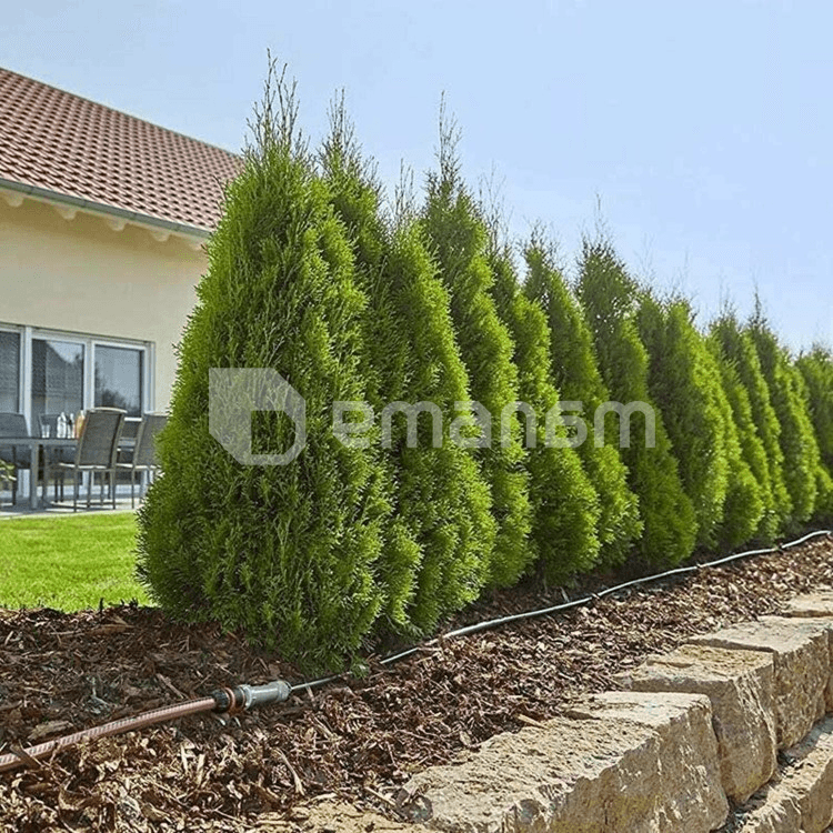 შლანგი წვეთოვანი Gardena 13013-20 1/2" 50 მ