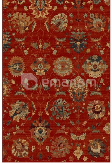 ხალიჩა Dywilan Polonia Olivo Patyna 2470 cC4 200х300 სმ