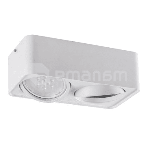 სანათი წერტილოვანი მბრუნავი Kanlux TUBEO ES 250-W GU10 2x MAX 25W