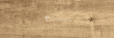 კერამოგრანიტი New Tiles Home Roble 195x900 მმ