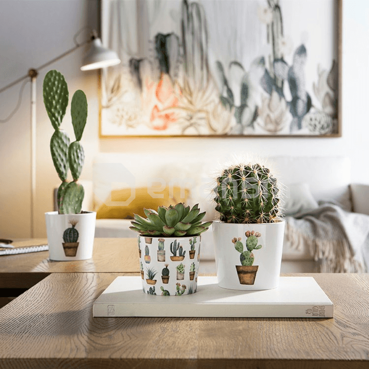 კერამიკული ქოთანი ყვავილებისთვის Scheurich 870/07 COVER-POT CACTUS GARDEN