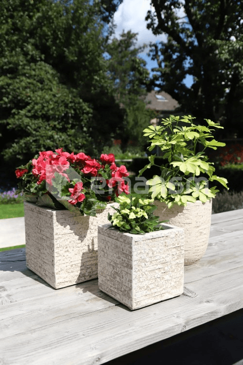 ქოთანი კერამიკული Mega Collections Utah Cubi Desert 44x38სმ 74ლ