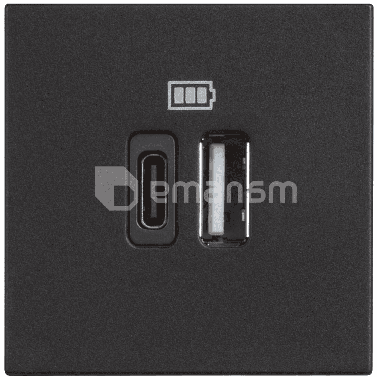 როზეტი Bticino bt-RG4287C2 USB  A C შავი