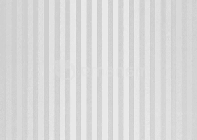 პანელი PVC VOX Profile Vilo D Silver Lines 25х265 сm