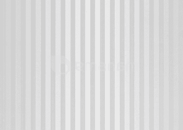 პანელი PVC VOX Profile Vilo D Silver Lines 25х265 сm