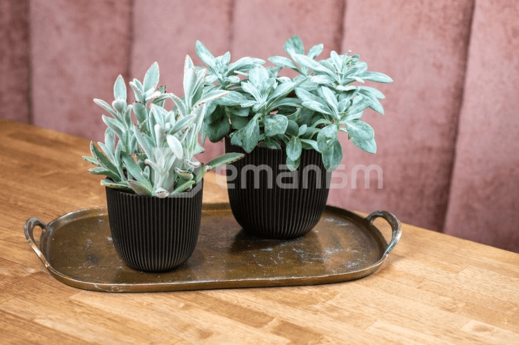 ქოთანი ყვავილის Capi Europe Planter Ball Groove textile 16,5x15სმ შავი