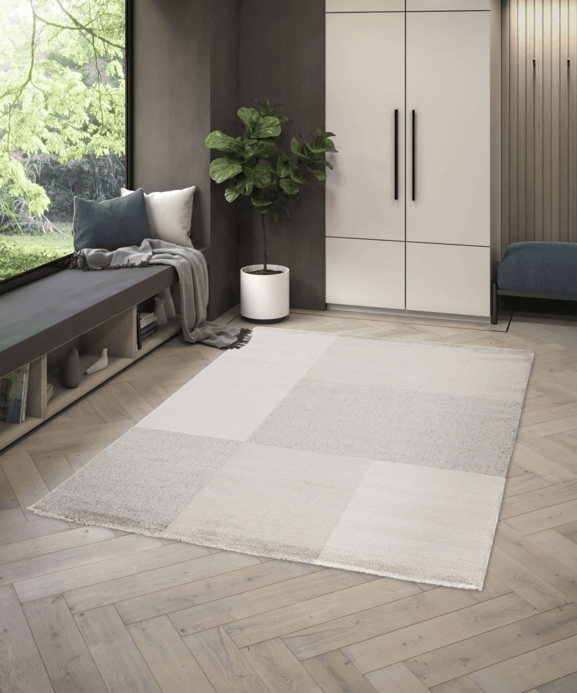ხალიჩა Balta Home Siroc 50817-857 120x170
