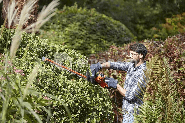 ბუჩქის საკრეჭი Black+Decker BEHTS501-QS 600W
