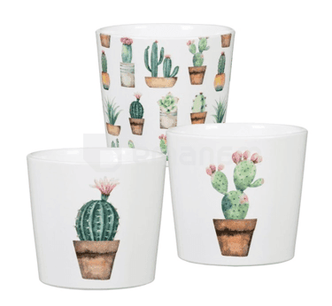 კერამიკული ქოთანი ყვავილებისთვის Scheurich 870/07 COVER-POT CACTUS GARDEN