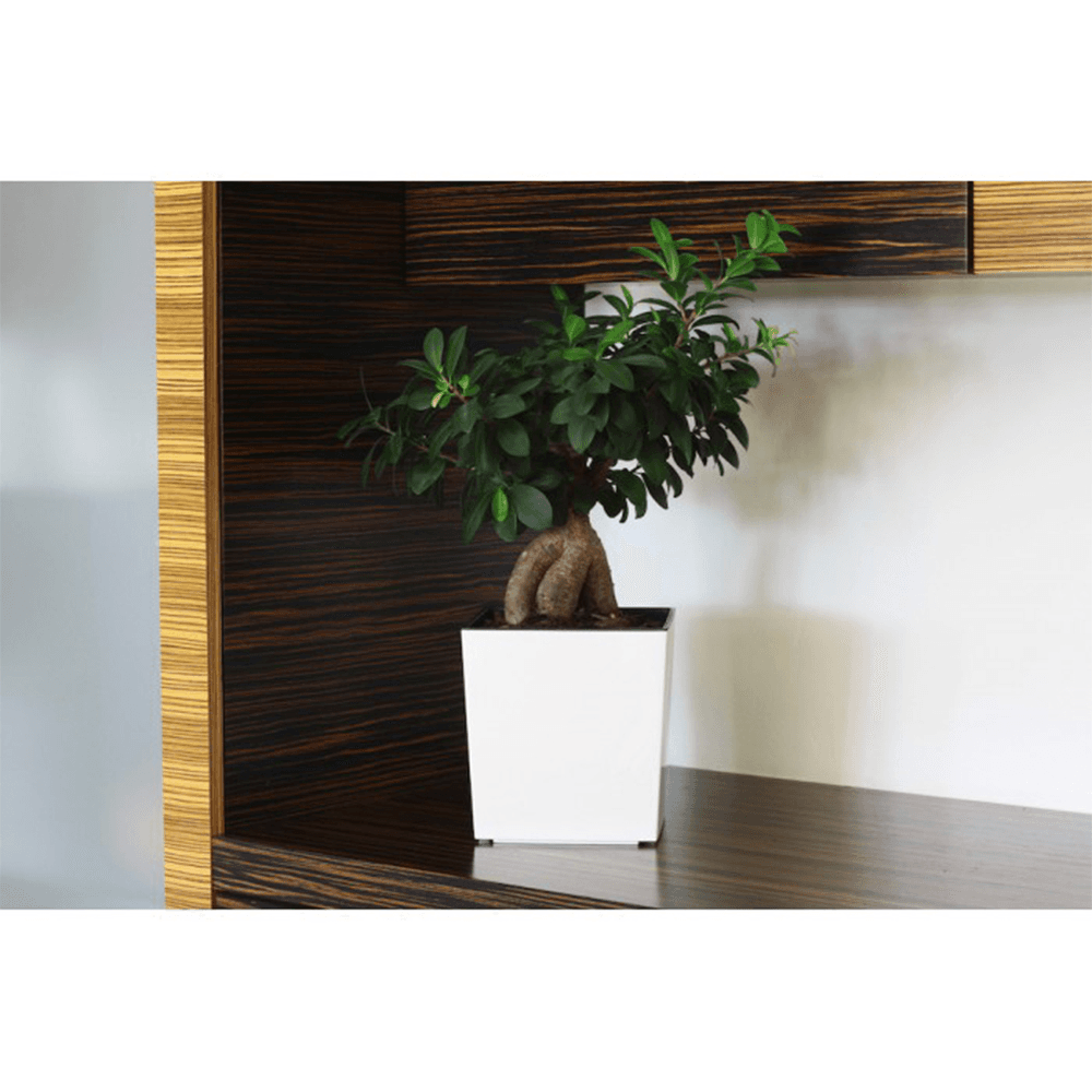 ქოთანი ყვავილის Lamela JUKA planter white 40x40 სმ