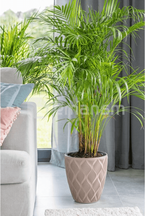 ქოთანი ყვავილის FORM PLASTIC Flow 40 taupe 4710-051