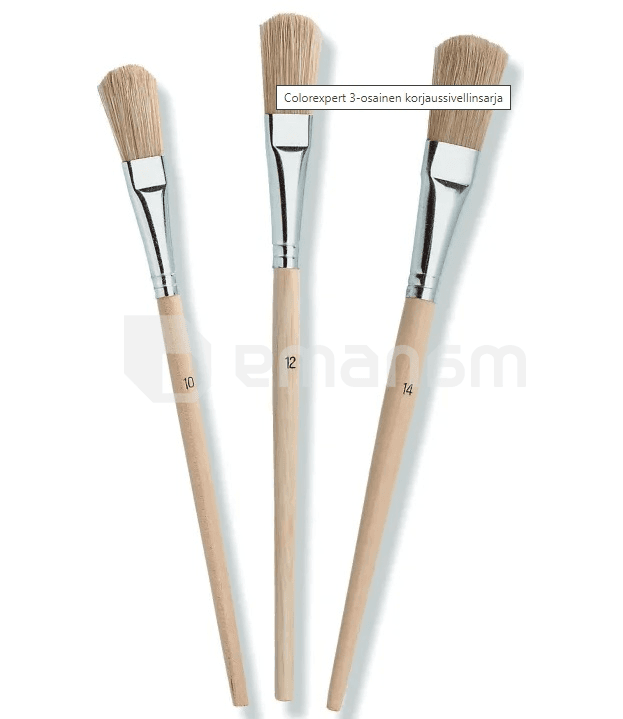 უნივერსალური ფუნჯების ნაკრები Color Expert 82610227 3 ც