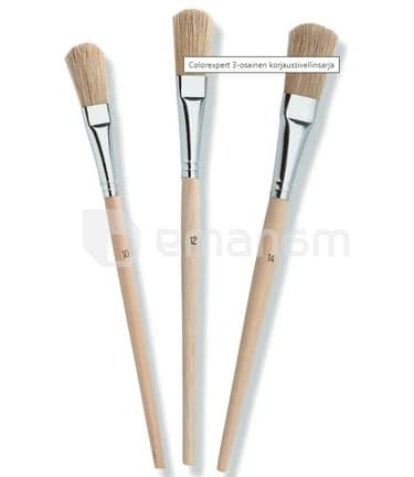უნივერსალური ფუნჯების ნაკრები Color Expert 82610227 3 ც