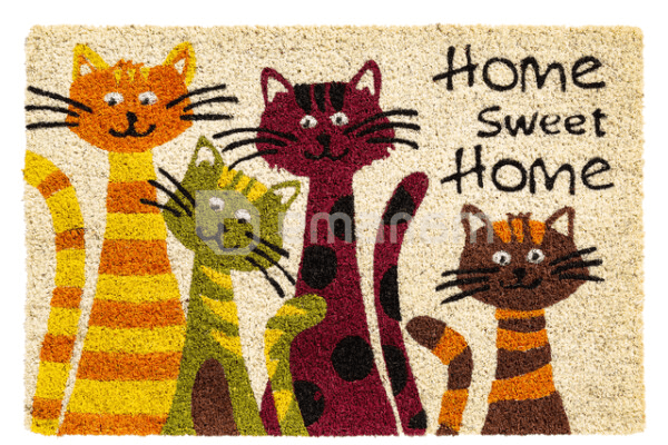 ფეხსაგები Hamat 147 Ruco Print Home cats 40x60 სმ