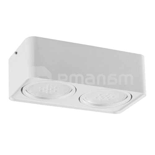სანათი წერტილოვანი მბრუნავი Kanlux TUBEO ES 250-W GU10 2x MAX 25W