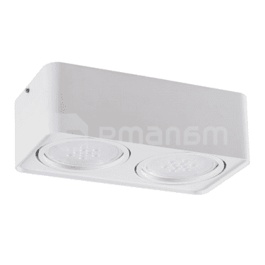 სანათი წერტილოვანი მბრუნავი Kanlux TUBEO ES 250-W GU10 2x MAX 25W