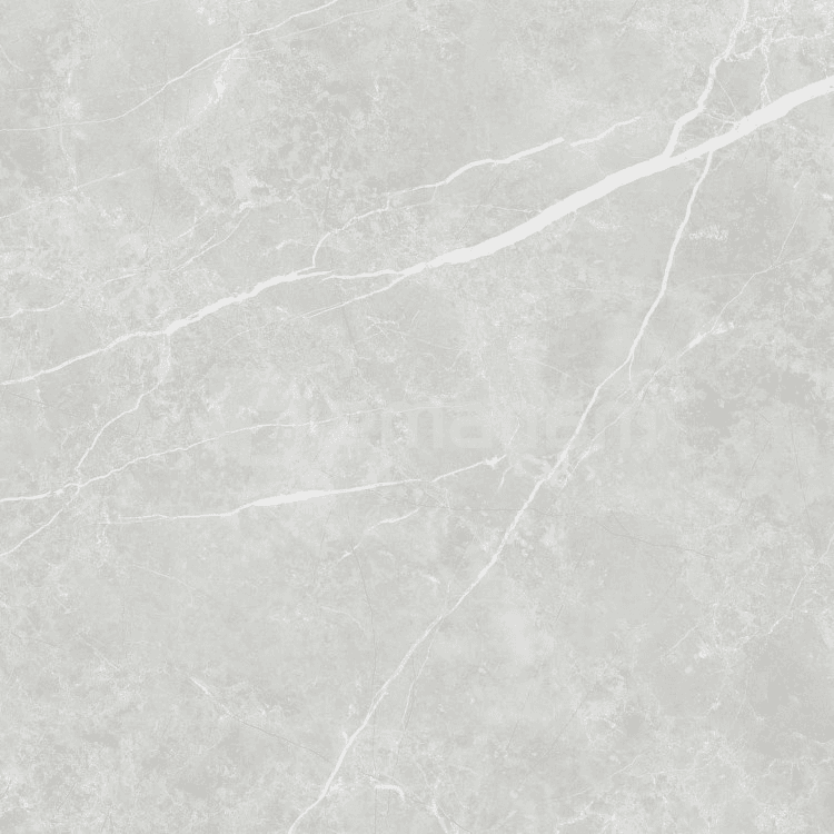 კერამოგრანიტი Tau Ceramica Elite Silver 600x600 მმ