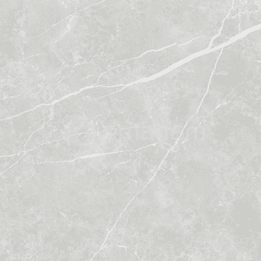 კერამოგრანიტი Tau Ceramica Elite Silver 600x600 მმ