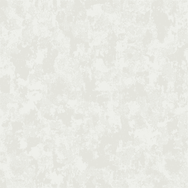 ვინილის შპალერი AdaWall Vera 1504-1 1.06x10 მ
