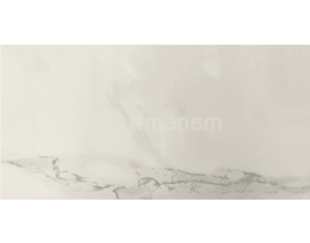 კერამოგრანიტი Halcon ceramicas G PALATINA BLANCO BRILLO PRI 30X60სმ