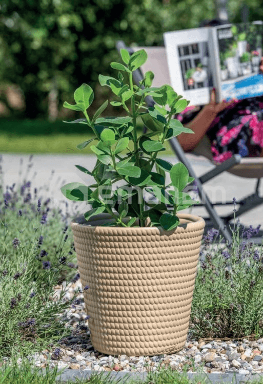ქოთანი ყვავილის Form-Plastic Lina 30 soft jute