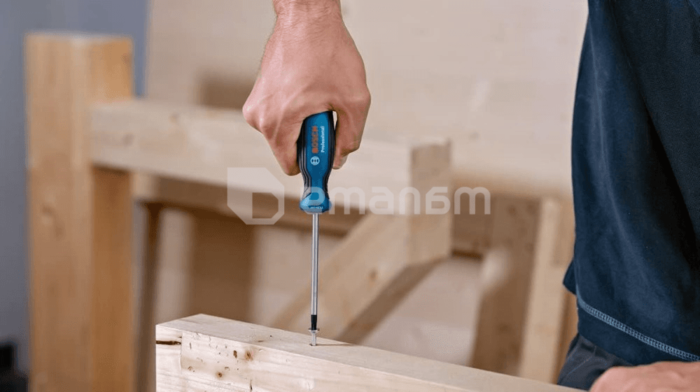 სახრახნისი Bosch 1600A01V0C TX20x100