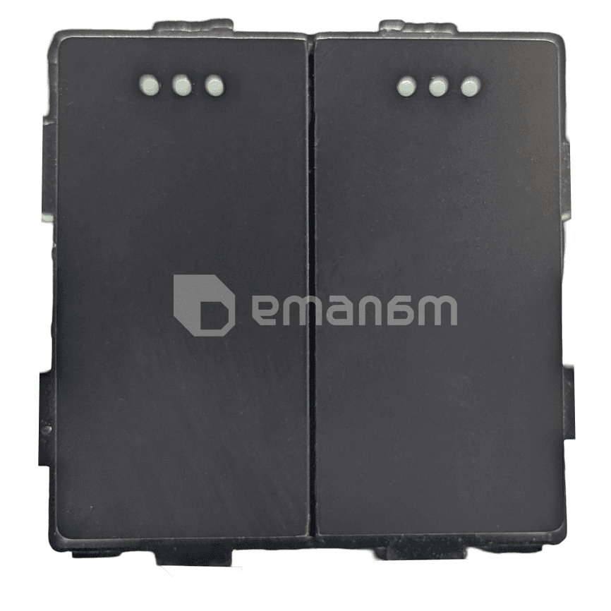 ჩამრთველი Socket Style 2 მექანიკური ორიანი 2G-2W შავი