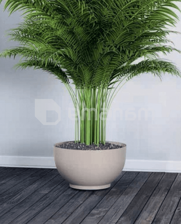 ქოთანი ყვავავილის FORM PLASTIC Bowl Satina Eco 30 თეთრი 4386-011