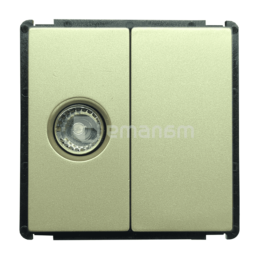 როზეტი Style Socket ერთ სექციური TV Female ოქროსფერი