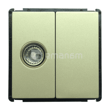 როზეტი Style Socket ერთ სექციური TV Female ოქროსფერი