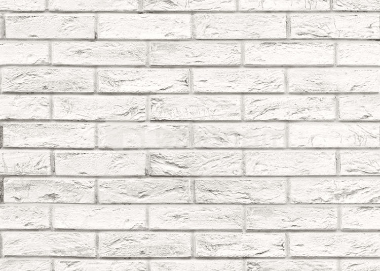 პანელი PVC VOX Profile Vilo D Loft Brick 25х265 сm
