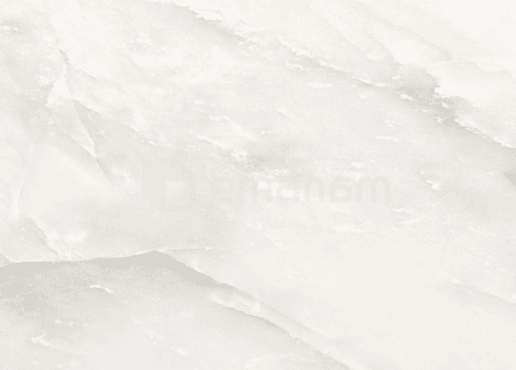 კერამოგრანიტი Halcon Ceramicas Potomac Blanco Brilo 60x60 სმ.