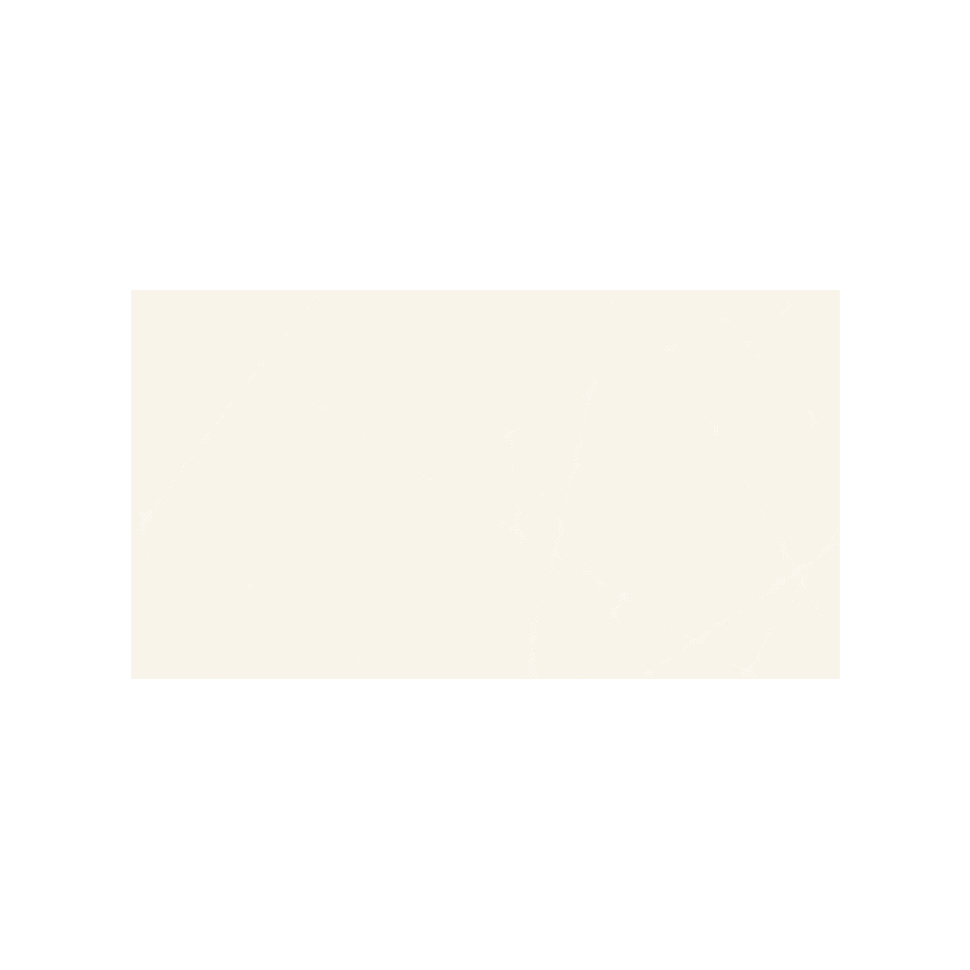დეკორი AZ.DECOR PALETTE PR 60 BLANCO 20*60 "AZTC"