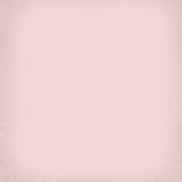 მეთლახი 1900 ROSA 20X20