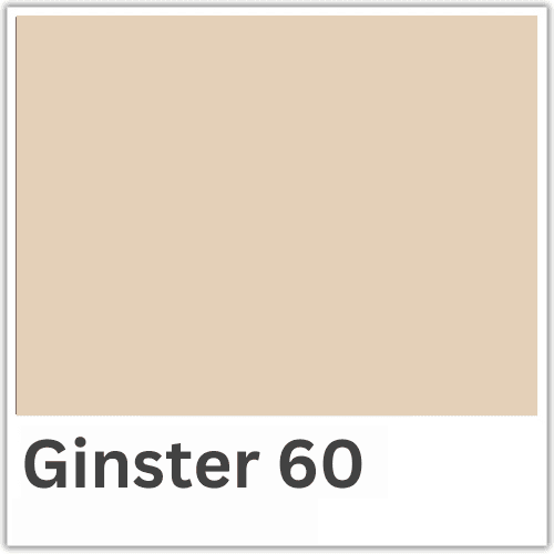 Decor საღებავი 10ლ, Ginster 60