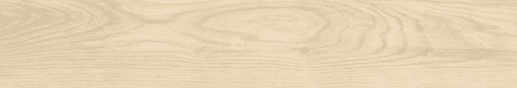 კერამოგრანიტი Tau Ceramica Loire Sand 200x1200 მმ