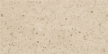 კერამოგრანიტი Vitacer Coralrock Cream 600x1200 მმ